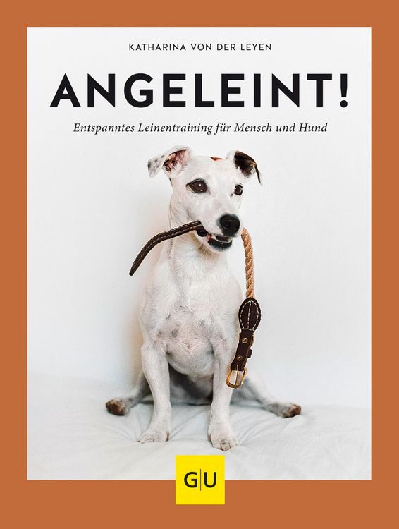 Produktbild: Angeleint!
