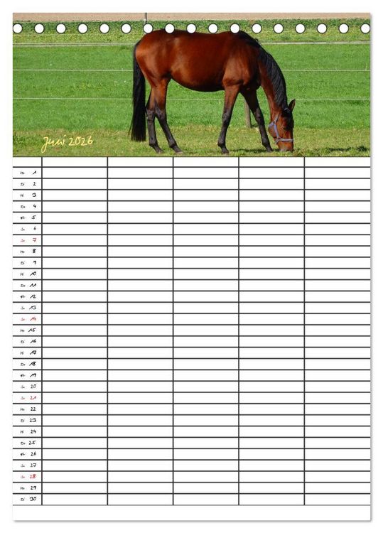 Produktbild: Bauernhoftiere Familienplaner (Tischkalender 2026 DIN A5 hoch), CALVENDO Monatskalender