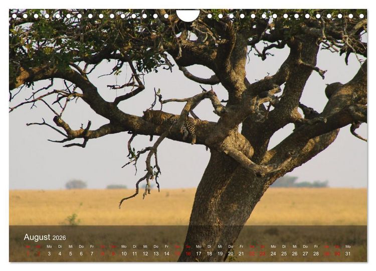 Produktbild: Ostafrika - Tansania und Kenia hautnah (Wandkalender 2026 DIN A4 quer), CALVENDO Monatskalender
