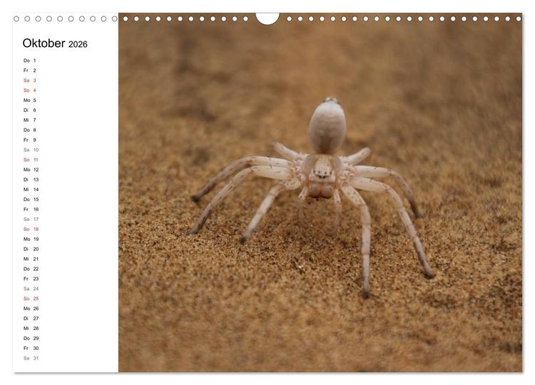 Produktbild: Namibia - Tierische Vielfalt (Planer) (Wandkalender 2026 DIN A3 quer), CALVENDO Monatskalender