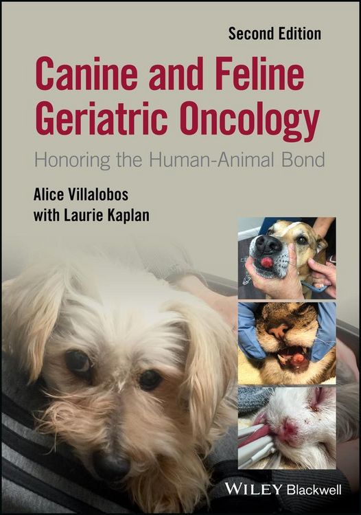 Produktbild: Canine and Feline Geriatric Oncology