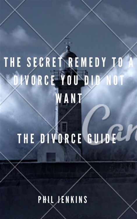 Produktbild: The secrete remedy to a divorce you did not want