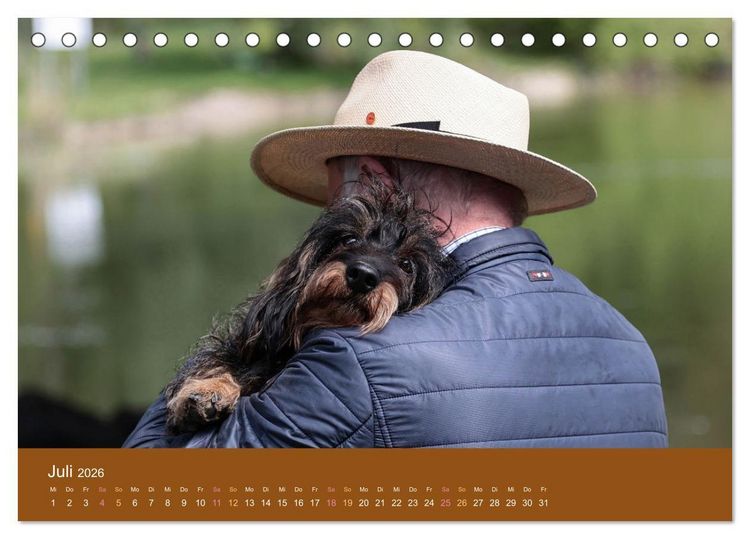 Produktbild: Der Dackel (Tischkalender 2026 DIN A5 quer), CALVENDO Monatskalender