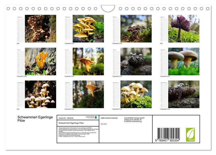 Produktbild: Schwammerl Egerlinge Pilze (Wandkalender 2026 DIN A4 quer), CALVENDO Monatskalender