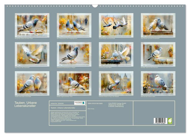 Produktbild: Tauben. Urbane Lebensk&uuml;nstler (Wandkalender 2027 DIN A2 quer), CALVENDO Monatskalender