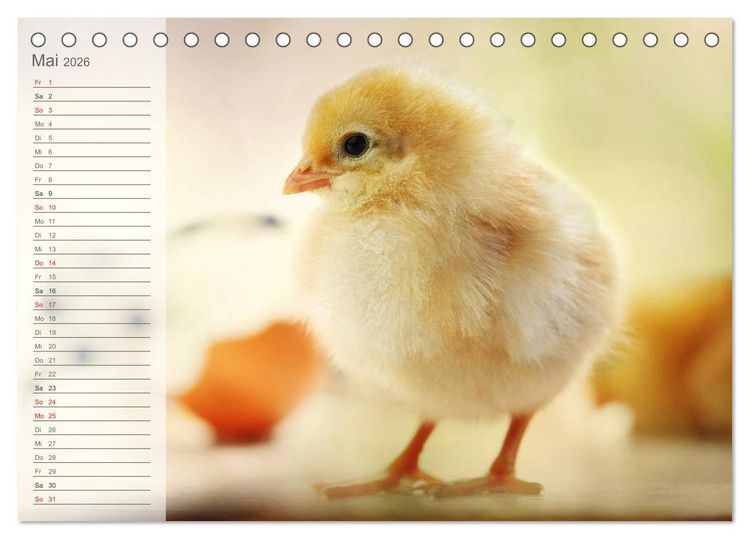 Produktbild: K&uuml;ken in der Kinderstube Terminplaner (Tischkalender 2026 DIN A5 quer), CALVENDO Monatskalender