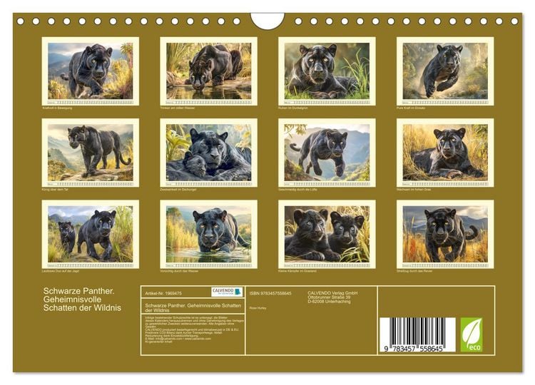 Produktbild: Schwarze Panther. Geheimnisvolle Schatten der Wildnis (Wandkalender 2026 DIN A4 quer), CALVENDO Monatskalender