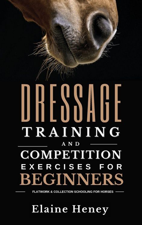 Produktbild: Dressage training and competition exercises for beginners - Flatwork & collection schooling for horses