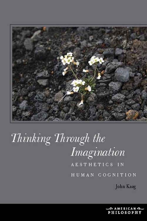 Produktbild: Thinking Through the Imagination