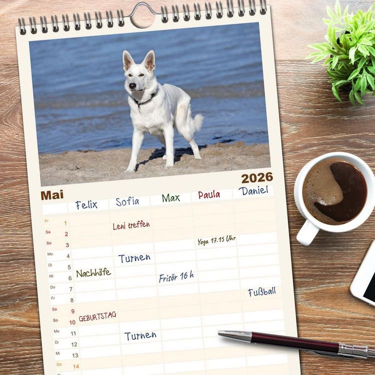 Produktbild: Familienplaner 2026 - Berger Blanc Suisse - Weggef&auml;hrten auf 4 Pfoten mit 5 Spalten (Wandkalender, 21 x 45 cm) CALVENDO