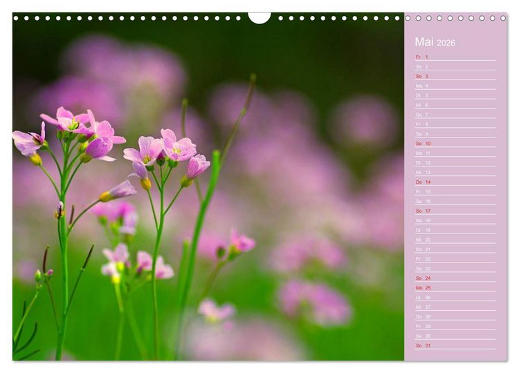 Produktbild: Blumenfreude (Wandkalender 2026 DIN A3 quer), CALVENDO Monatskalender