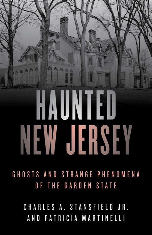 Produktbild: Haunted New Jersey