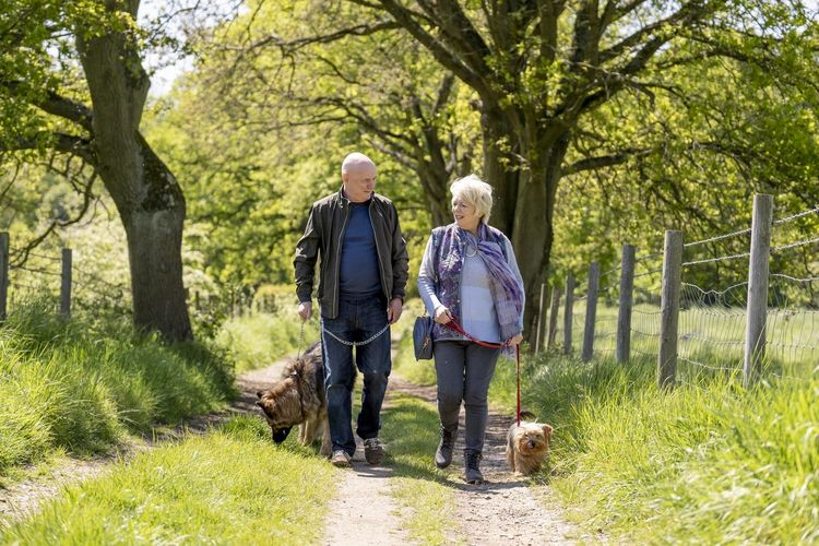 Produktbild: Mit Herz und Hund