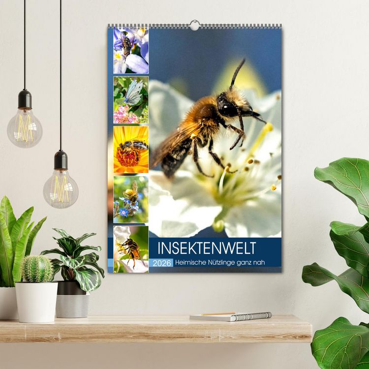 Produktbild: INSEKTENWELT - Heimische N&uuml;tzlinge ganz nah (Wandkalender 2026 DIN A2 hoch), CALVENDO Monatskalender