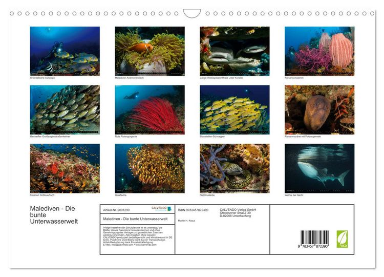 Produktbild: Malediven - Die bunte Unterwasserwelt (Wandkalender 2026 DIN A3 quer), CALVENDO Monatskalender