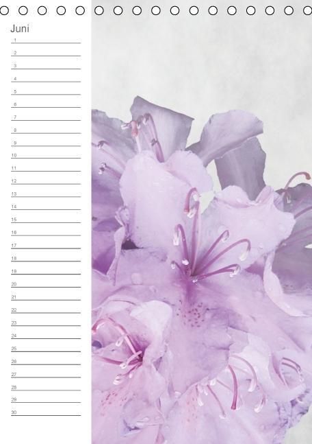 Produktbild: Zarte Bl&uuml;ten / Geburtstagskalender (Tischkalender immerw&auml;hrend DIN A5 hoch)