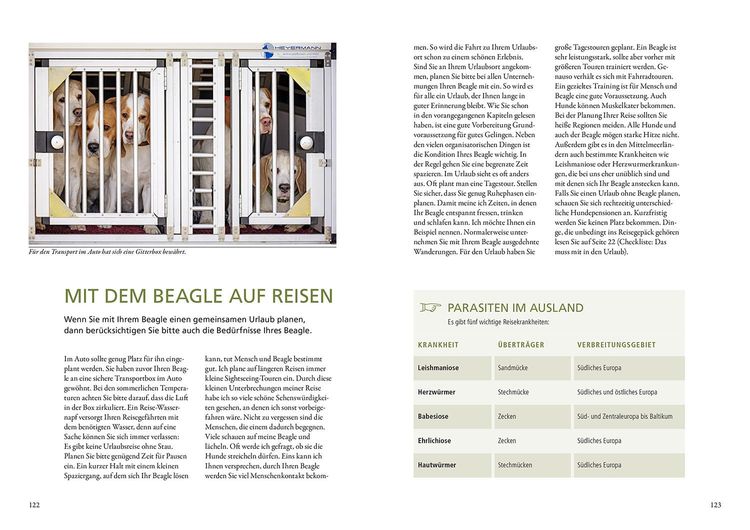 Produktbild: Beagle