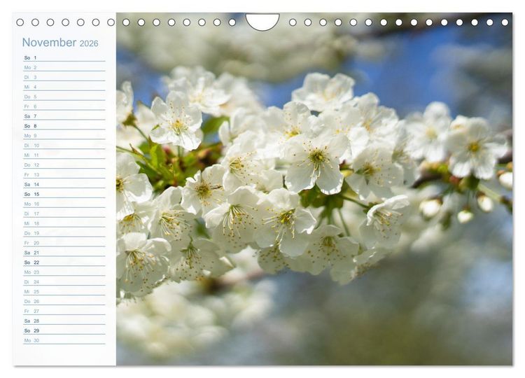 Produktbild: Wenn im Fr&uuml;hling die Natur wieder erwacht (Wandkalender 2026 DIN A4 quer), CALVENDO Monatskalender