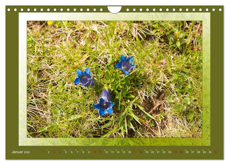 Produktbild: Das vergessene Tal. Schnalstal - Val Senales (Wandkalender 2026 DIN A4 quer), CALVENDO Monatskalender