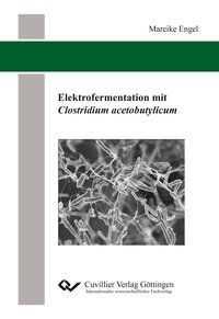 Produktbild: Elektrofermentation mit Clostridium acetobutylicum