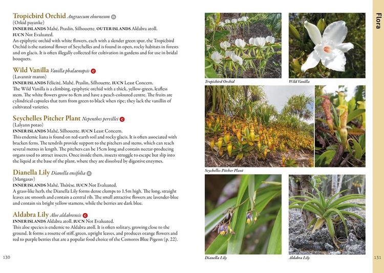 Produktbild: A Photographic Guide to the Wildlife of Seychelles