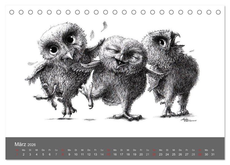 Produktbild: owls & friends 2026 (Tischkalender 2026 DIN A5 quer), CALVENDO Monatskalender