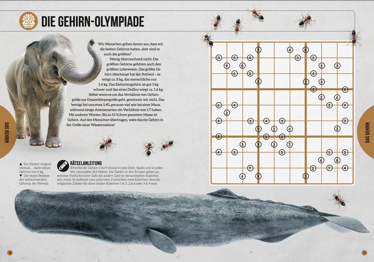 Produktbild: Das Wissenschafts-R&auml;tselbuch &ndash; &Uuml;ber 100 R&auml;tsel aus dem Pop-Science-Labor