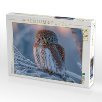 Produktbild: CALVENDO Puzzle Perlkauz - kleine Eule im eisigen Winter | 1000 Teile Lege-Gr&ouml;&szlig;e 64x48cm Foto-Puzzle f&uuml;r gl&uuml;ckliche Stunden
