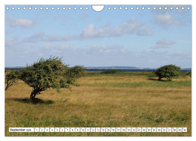 Produktbild: Orte an der Schlei (Wandkalender 2026 DIN A4 quer), CALVENDO Monatskalender