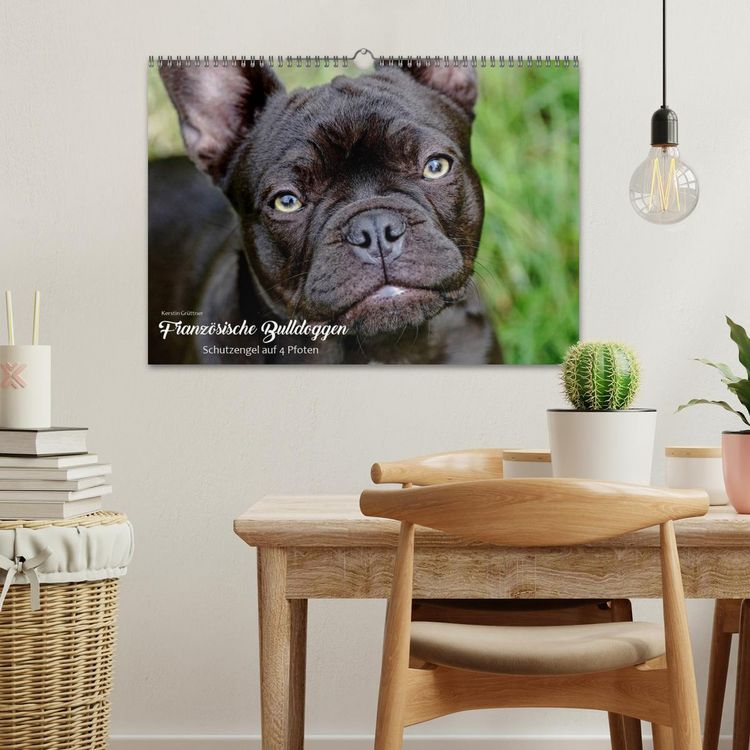 Produktbild: Franz&ouml;sische Bulldoggen - Schutzengel auf 4 Pfoten (Wandkalender 2026 DIN A3 quer), CALVENDO Monatskalender