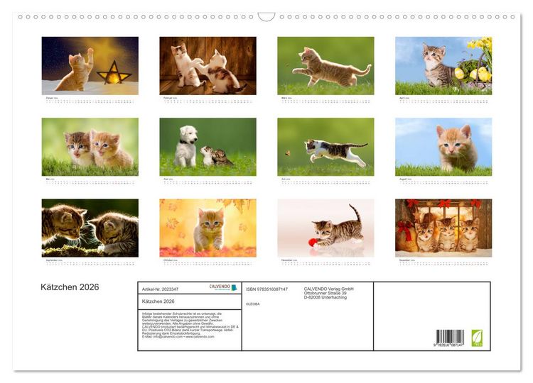 Produktbild: K&auml;tzchen 2026 (Wandkalender 2026 DIN A2 quer), CALVENDO Monatskalender