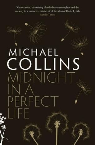 Produktbild: Midnight in a Perfect Life