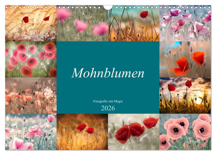 Produktbild: Mohnblumen - Fotografie mit Magie (Wandkalender 2026 DIN A3 quer), CALVENDO Monatskalender