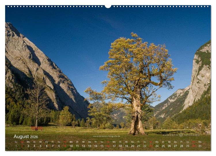 Produktbild: Gro&szlig;er Ahornboden - Europas gro&szlig;er Ahornwald (Wandkalender 2026 DIN A2 quer), CALVENDO Monatskalender