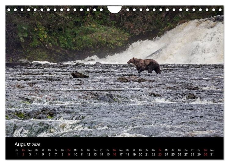 Produktbild: FASZINATION ALASKA Expedition durch die Inside Passage (Wandkalender 2026 DIN A4 quer), CALVENDO Monatskalender