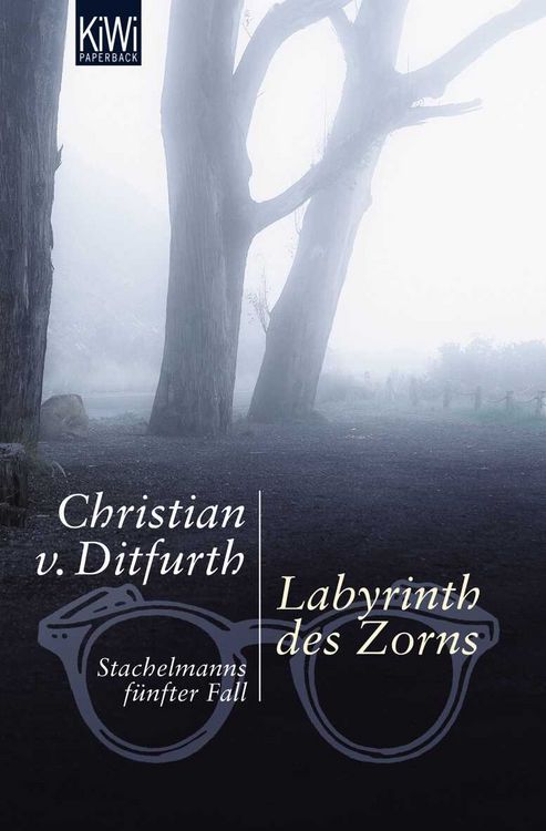 Produktbild: Labyrinth des Zorns / Stachelmann Band 5