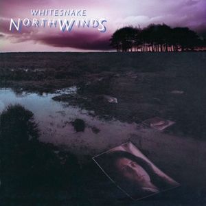 Produktbild: Northwinds(Black Ice Vinyl)