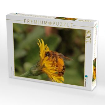 Produktbild: CALVENDO Puzzle Hosenbiene auf Ferkelkraut | 1000 Teile Lege-Gr&ouml;&szlig;e 64x48cm Foto-Puzzle f&uuml;r gl&uuml;ckliche Stunden