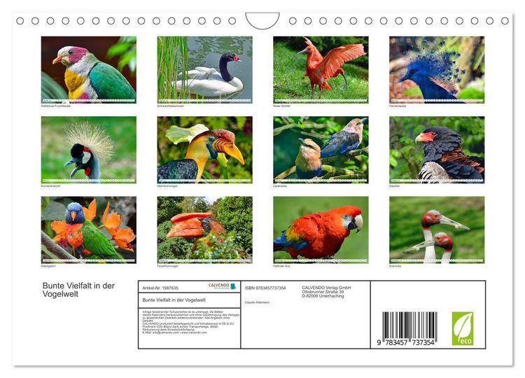 Produktbild: Bunte Vielfalt in der Vogelwelt (Wandkalender 2026 DIN A4 quer), CALVENDO Monatskalender
