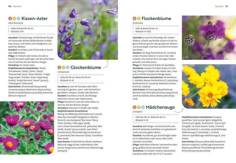 Mein Garten wächst im Topf
