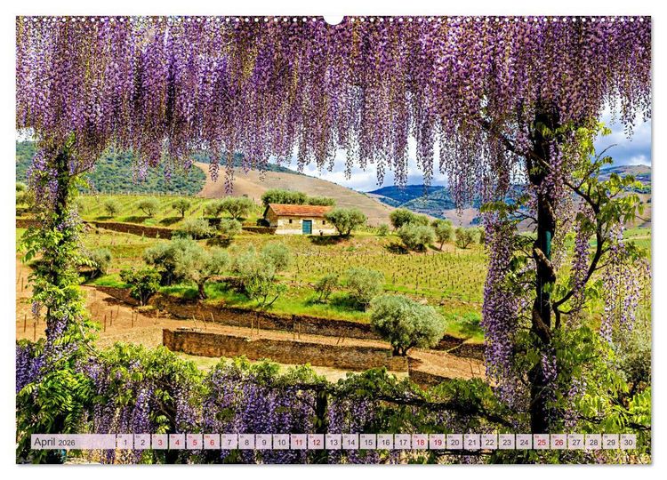 Produktbild: Von Porto bis an die Algarve (Wandkalender 2026 DIN A2 quer), CALVENDO Monatskalender