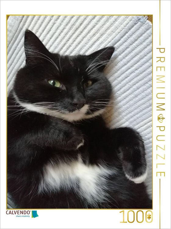 Produktbild: CALVENDO Puzzle Kater, dick und zufrieden | 1000 Teile Lege-Gr&ouml;&szlig;e 64x48cm Foto-Puzzle f&uuml;r gl&uuml;ckliche Stunden