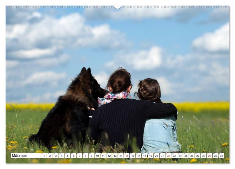 Produktbild: Deutscher Sch&auml;ferhund - Der beste Freund des Menschen (Wandkalender 2026 DIN A2 quer), CALVENDO Monatskalender