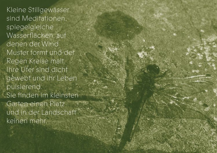 Produktbild: Die Gaben des Wassers