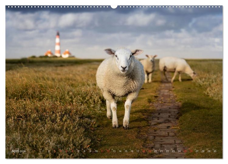 Produktbild: Wundersch&ouml;nes Eiderstedt (Wandkalender 2026 DIN A2 quer), CALVENDO Monatskalender