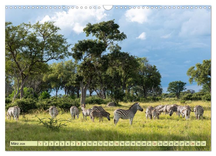 Produktbild: Wildes Okavangodelta (Wandkalender 2026 DIN A3 quer), CALVENDO Monatskalender