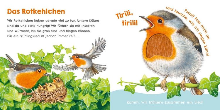 Produktbild: H&ouml;r mal, wie ich knabbern kann (Mein erstes Streichel-Soundbuch 5)