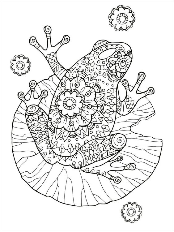 Produktbild: Mein Mandala-Tier-Malbuch &ndash; Im Paradies der Tiere