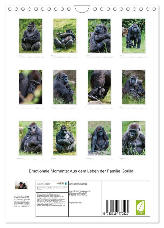 Produktbild: Emotionale Momente: Aus dem Leben der Familie Gorilla. (Wandkalender 2026 DIN A4 hoch), CALVENDO Monatskalender