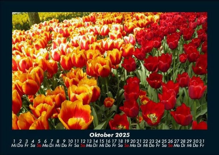Produktbild: Blick in die Natur 2025 Fotokalender DIN A5